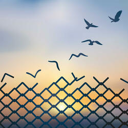 Won't Let Me Down (feat. Myriam Généreux)