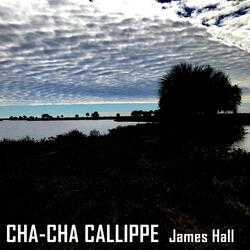 Cha-Cha Callippe
