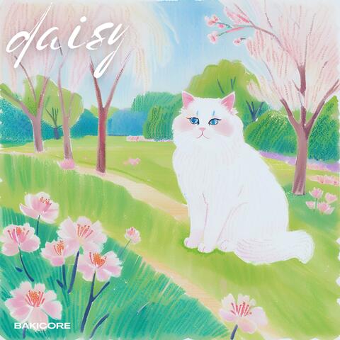 daisy