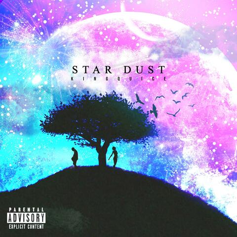 Star Dust