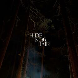 Hide Nor Hair (single)