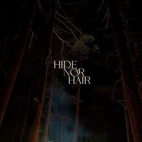 Hide Nor Hair (single)