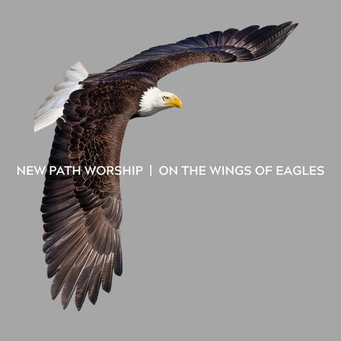 On The Wings Of Eagles
