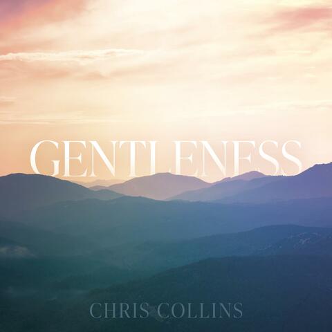 Gentleness