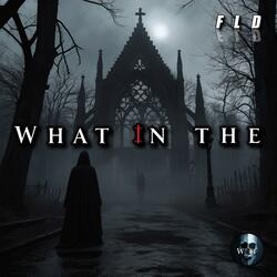 Welcome to What in The