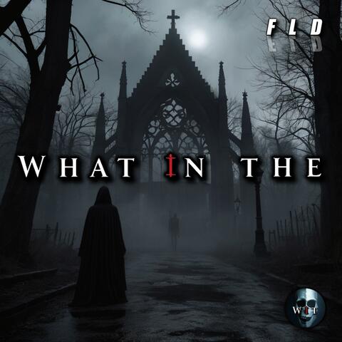 Welcome to What in The