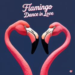 Flamingo Dance in Love