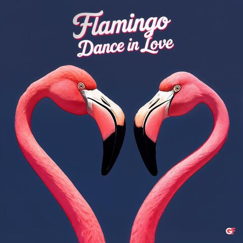 Flamingo Dance in Love