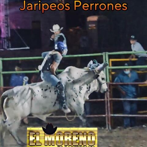 Jaripeos Perrones