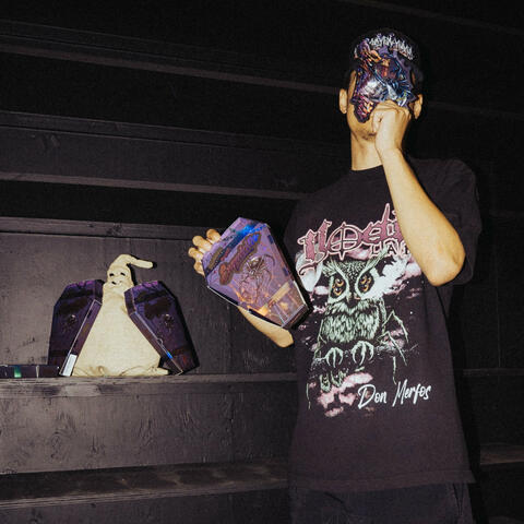 LUNGS