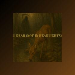 Dear (Not in Headlights)