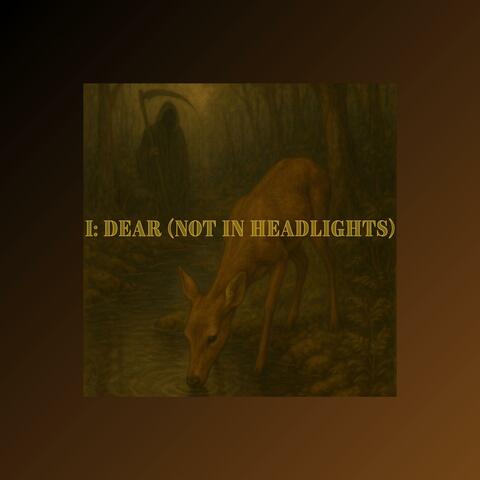 Dear (Not in Headlights)