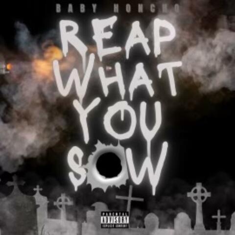 Reap What You Sow