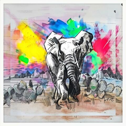 Elephant