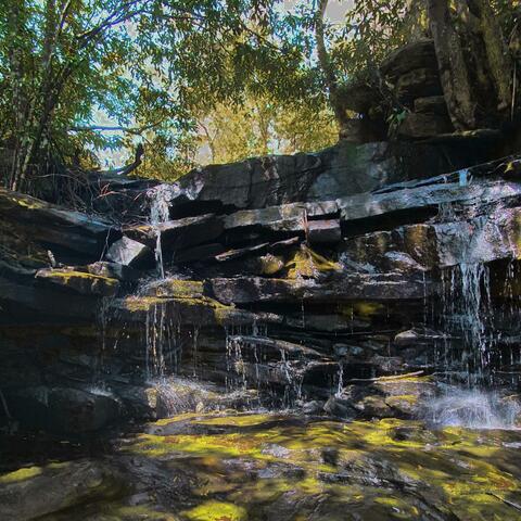 Berowra Creek Waterfall and Tunks Ridge Campground