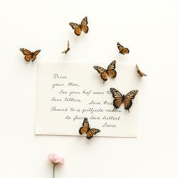 butterflies