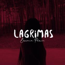 Lagrimas (feat. Pdrin)