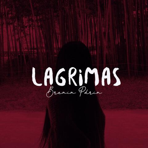 Lagrimas (feat. Pdrin)