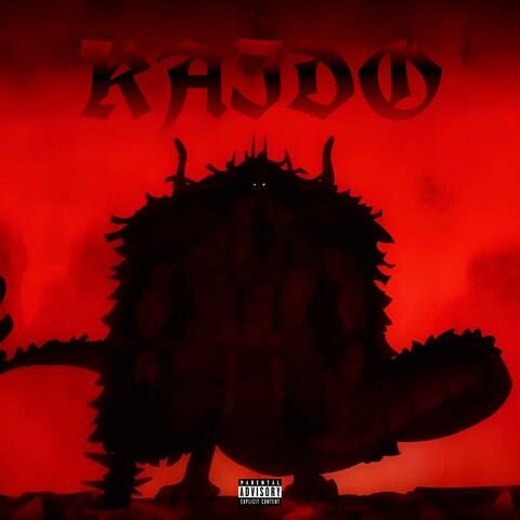 KAIDO!