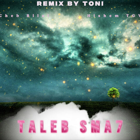 TALEB SMA7