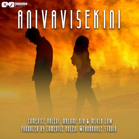 Anivavisekini (feat. Malome Kia SA & Msoja Low)