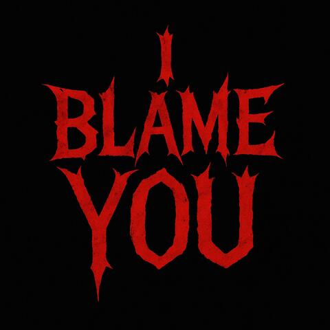 I Blame You