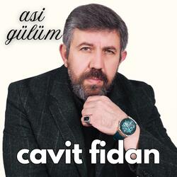 Asi Gülüm