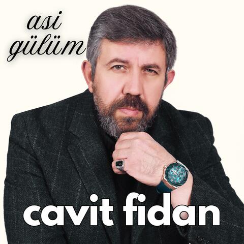 Asi Gülüm