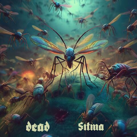 Sıtma
