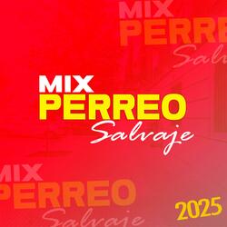 MIX PERREO SALVAJE 2025