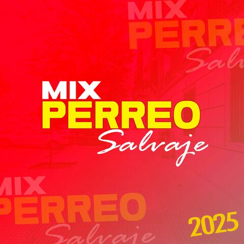 MIX PERREO SALVAJE 2025