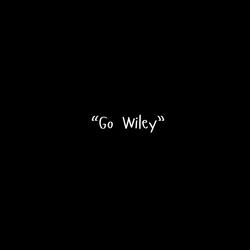 Go Wiley (feat. DJ CL!MB)