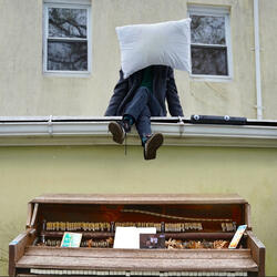 Not Your New Twin Sized Bed