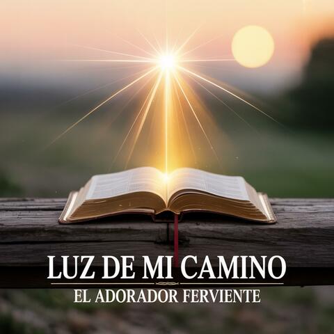 LUZ DEL CAMINO
