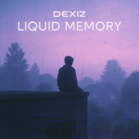LIQUID MEMORY