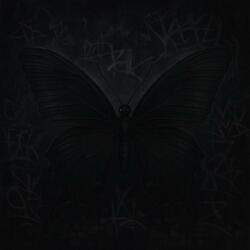Papillon Noir