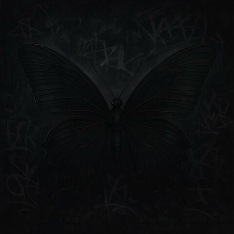 Papillon Noir