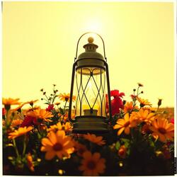 You Light Me Up