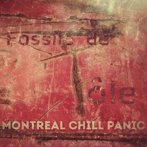 Fossile de tôle