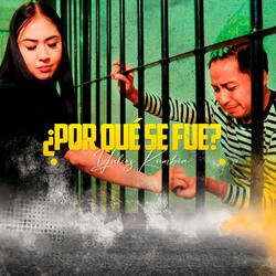 Por Que Se Fue