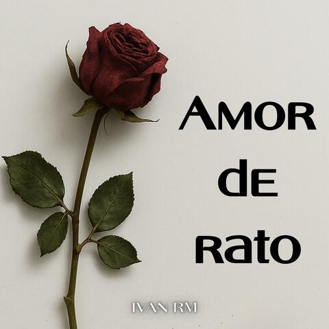 Amor De Rato