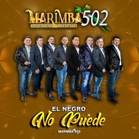 El Negro No Puede