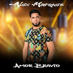 Amor Bravio (Salsa)