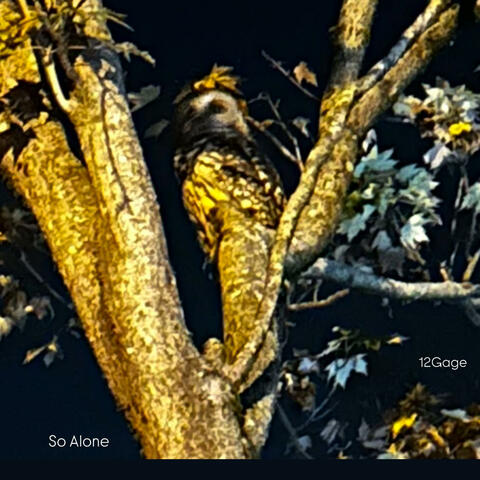 So Alone