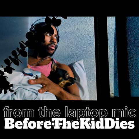 from the laptop mic