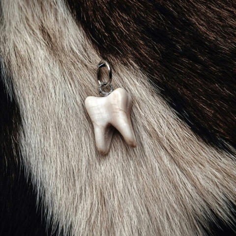 TEETH AND VELVET