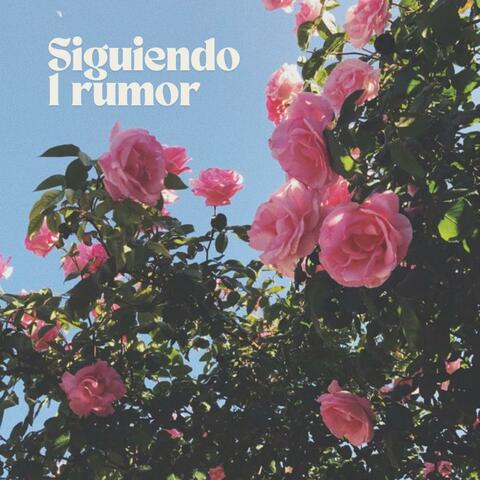 Siguiendo 1 Rumor