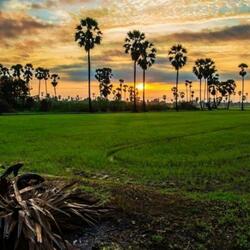 ញាំទឹកបង