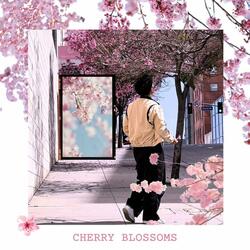 cherry blossoms (feat. curtij & Jacob Egan)