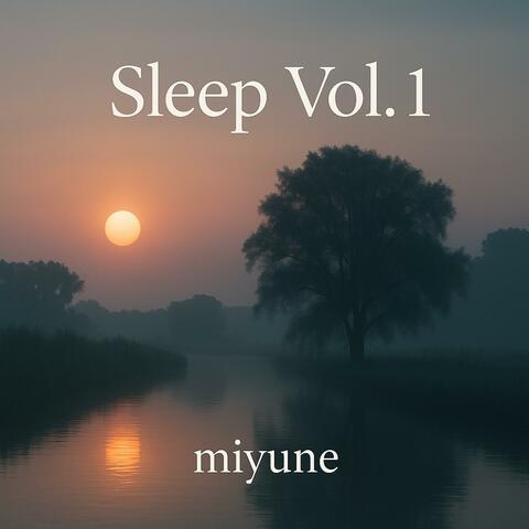 Sleep, Vol. 1